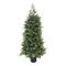 5ft. Pre-Lit Cypress Artificial Christmas Tree, Multi-Function LED Lights